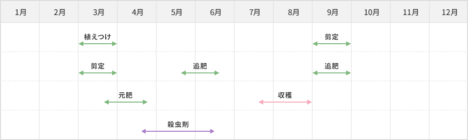 栽培スケジュール