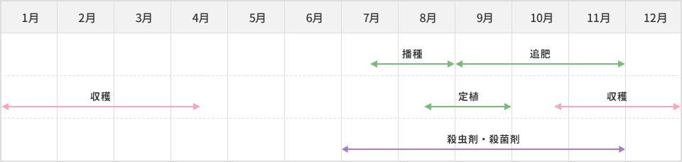 栽培スケジュール