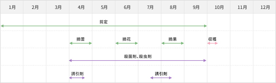 栽培スケジュール