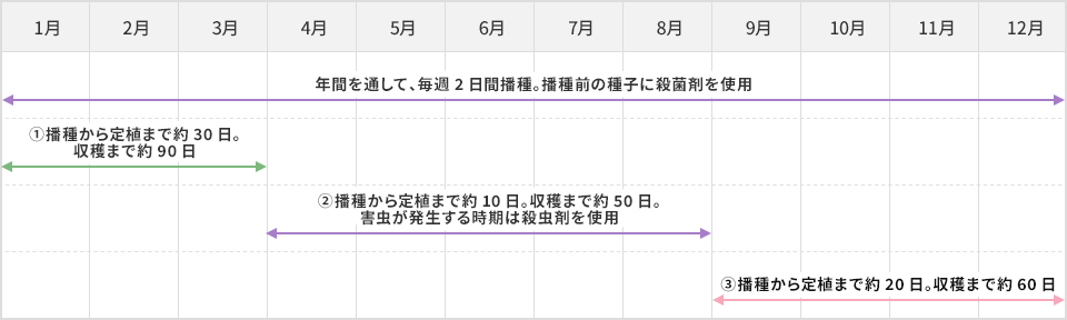 栽培スケジュール