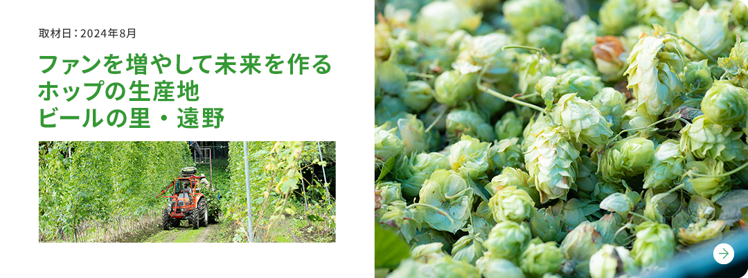 ファンを増やして未来を作るホップの生産地　ビールの里・遠野 取材日：2024年8月