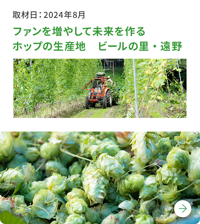 ファンを増やして未来を作るホップの生産地　ビールの里・遠野 取材日：2024年8月