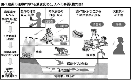 農薬の運命における濃度変化と、人への暴露