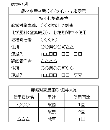 表示の例