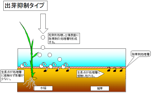 出芽抑制タイプ