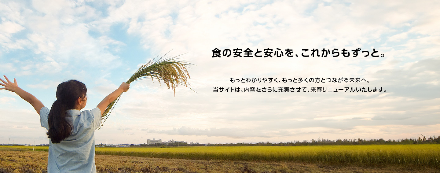 おいしさや栄養だけじゃない。知っててほしい食材のポイント。