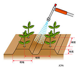 2.畦間処理