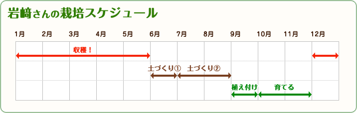 岩﨑さんの栽培スケジュール