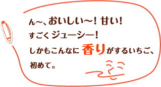 ん～、おいしい～！甘い！すごくジューシー！しかもこんなに香りがするいちご、初めて。