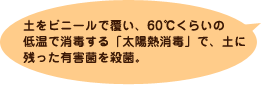 土をビニールで覆い、60℃くらいの低温で消毒する「太陽熱消毒」で、土に残った有害菌を殺菌。