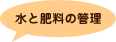 水と肥料の管理