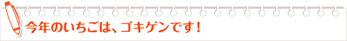 今年のいちごはゴキゲンです！