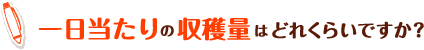 一日当たりの収穫量はどのくらいですか？