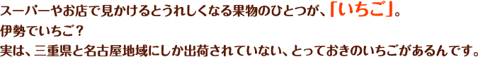 スーパーやお店で見かけるとうれしくなる果物のひとつが、「いちご」。伊勢でいちご？実は、三重県と名古屋地域にしか出荷されていない、とっておきのいちごがあるんです。