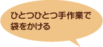 ひとつひとつ手作業で袋をかける