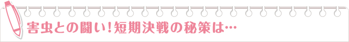 害虫との闘い！短期決戦の秘策は…