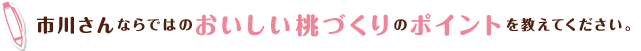 市川さんならではのおいしい桃づくりのポイントを教えてください。