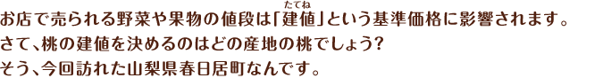 お店で売られる野菜や果物の値段は「建値(たてね)」という基準価格に影響されます。さて、桃の建値を決めるのはどの産地の桃でしょう？そう、今回訪れた山梨県春日居町なんです。