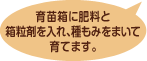 育苗箱に肥料と箱粒剤を入れ、種もみをまいて育てます。