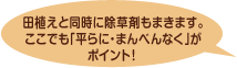 田植えと同時に除草剤もまきます。ここでも「平らに・まんべんなく」がポイント！