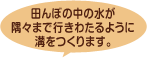 田んぼの中の水が隅々まで行きわたるように溝をつくります。