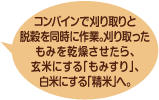 コンバインで刈り取りと脱穀を同時に作業。刈り取ったもみを乾燥させたら、玄米にする「もみすり」、白米にする「精米」へ。