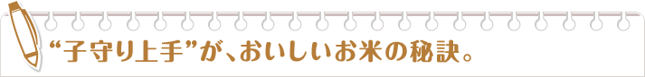 "子守り上手"が、おいしいお米の秘訣。