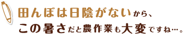 田んぼは日陰がないから、この暑さだと農作業も大変ですね…。