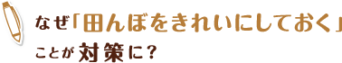 なぜ「田んぼをきれいにしておく」ことが対策に？