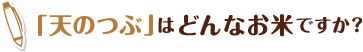 「天のつぶ」はどんなお米ですか？
