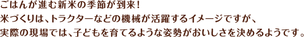 ごはんが進む新米の季節が到来！米づくりは、トラクターなどの機械が活躍するイメージですが、実際の現場では、子どもを育てるような姿勢がおいしさを決めるようです。