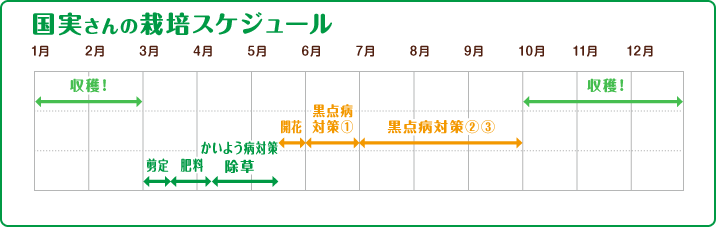 国実さんの栽培スケジュール