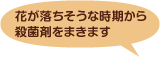 花が落ちそうな時期から殺菌剤をまきます