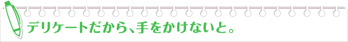 デリケートだから、手をかけないと。