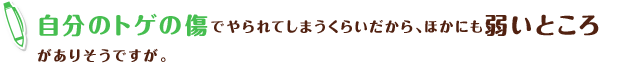 自分のトゲの傷でやられてしまうくらいだから、ほかにも弱いところがありそうですが。