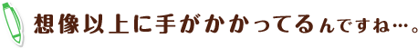 想像以上に手がかかってるんですね…。