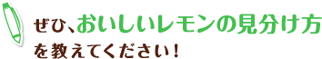 ぜひ、おいしいレモンの見分け方を教えてください！