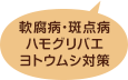 軟腐病・斑点病・ハモグリバエ・ヨトウムシ対策