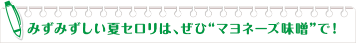 みずみずしい夏セロリは、ぜひ“マヨネーズ味噌”で！