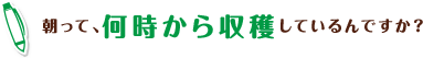 朝って、何時から収穫しているんですか？