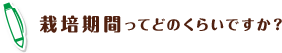 栽培期間ってどのくらいですか？