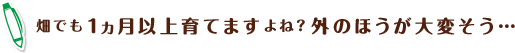 畑でも1ヵ月以上育てますよね？外のほうが大変そう…