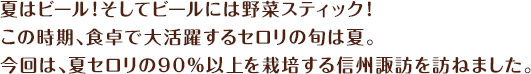 夏はビール！そしてビールには野菜スティック！この時期、食卓で大活躍するセロリの旬は夏。今回は、夏セロリの90%以上を栽培する信州諏訪を訪ねました。