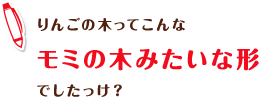 りんごの木ってこんなモミの木みたいな形でしたっけ？