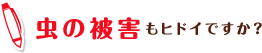 虫の被害もヒドイですか？