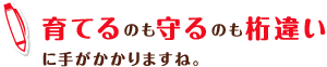 育てるのも守るのも桁違い