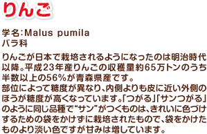 りんご　学名：Malus pumila　バラ科　りんごが日本で栽培されるようになったのは明治時代以降。平成23年産りんごの収穫量約65万トンのうち半数以上の56%が青森県産です。
                    部位によって糖度が異なり、内側よりも皮に近い外側のほうが糖度が高くなっています。「つがる」「サンつがる」のように同じ品種で“サン”がつくものは、きれいに色づけするための袋をかけずに栽培されたもので、袋をかけたものより淡い色ですが甘みは増しています。