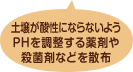 土壌が酸性にならないようPHを調整する薬剤や殺菌剤などを散布