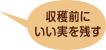 収穫前にいい実を残す