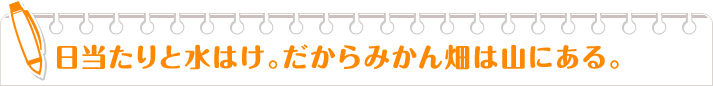 日当たりと水はけ。だからみかん畑は山にある。